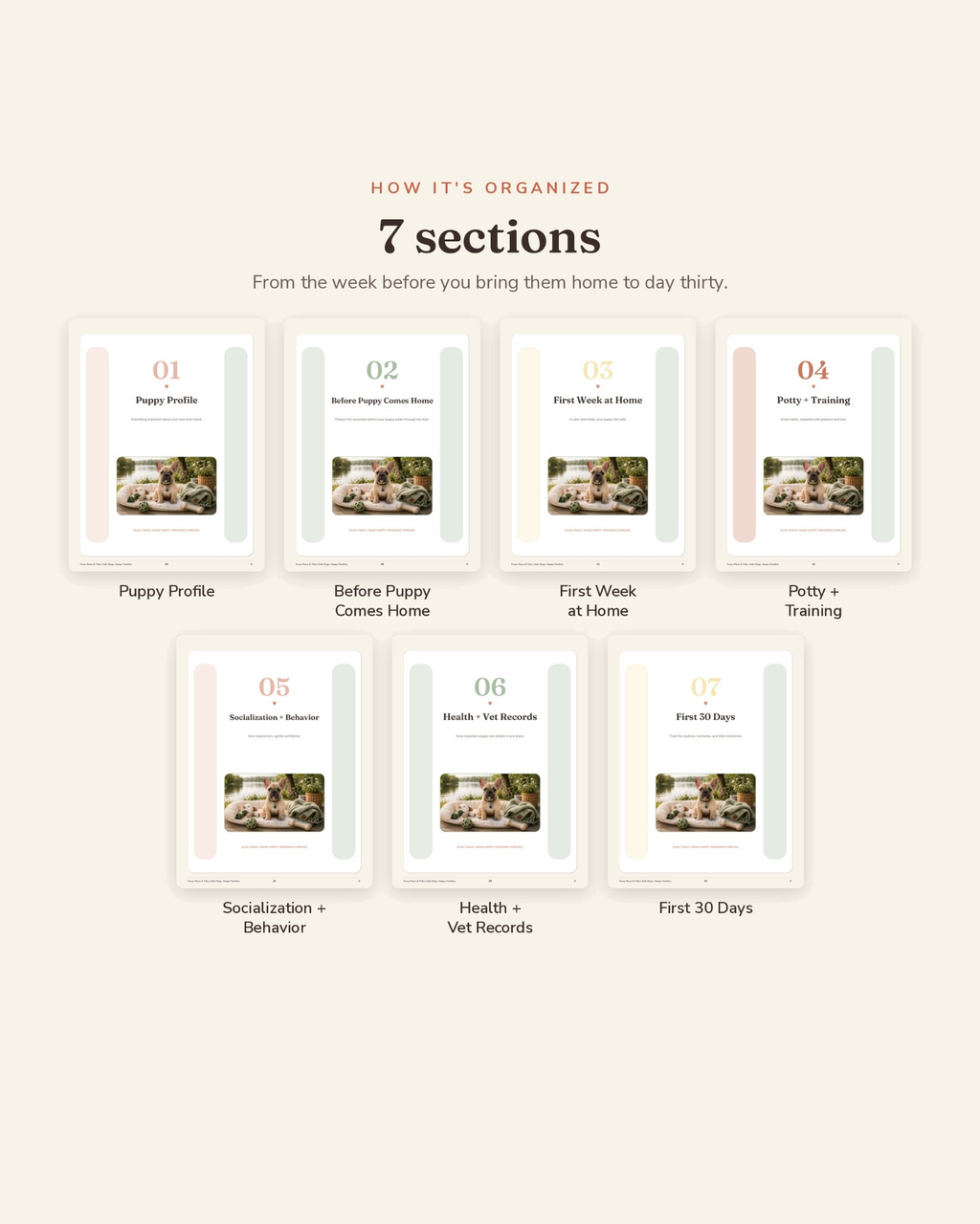 New Puppy Starter Planner section overview — the 7 organized sections of this printable new puppy planner