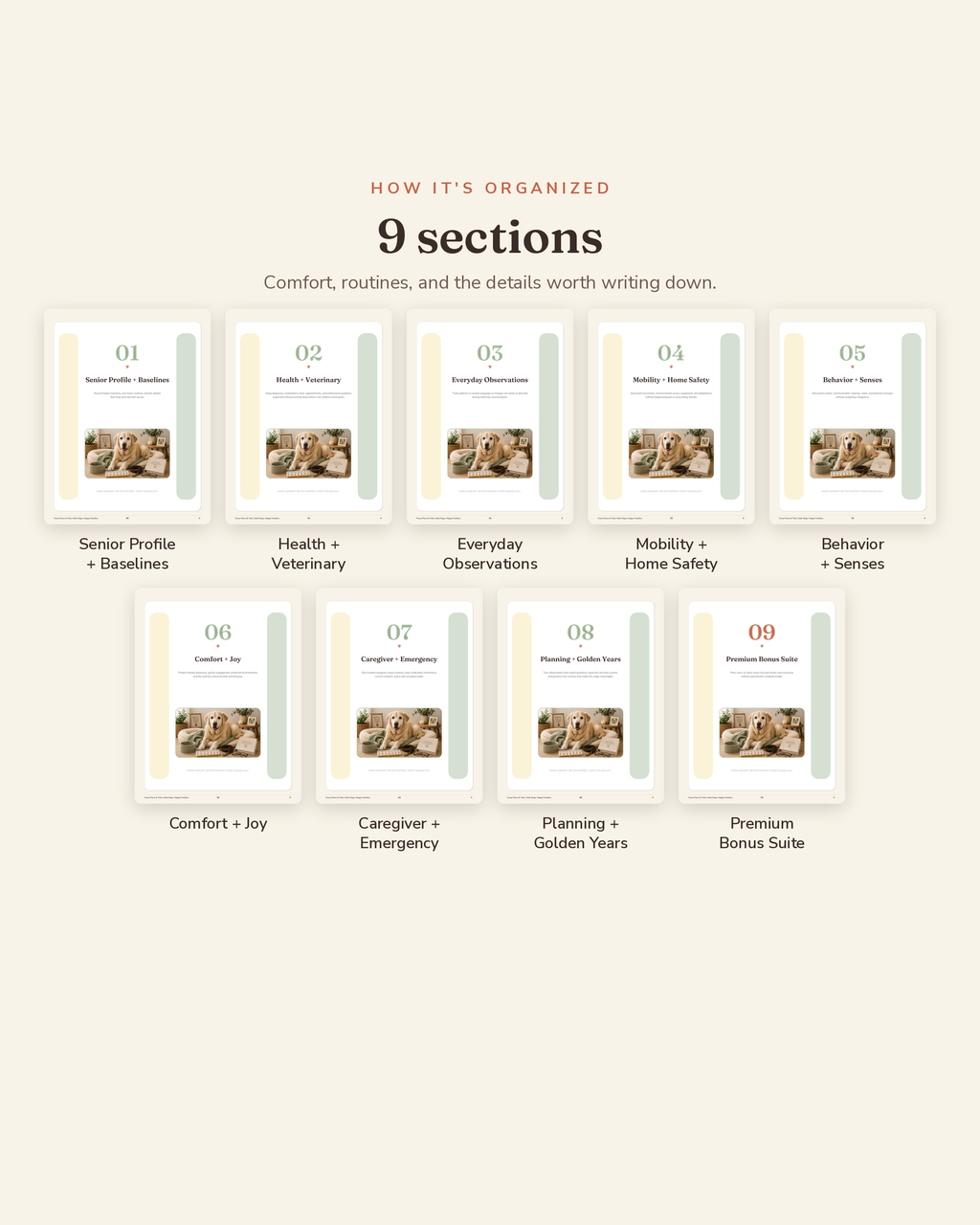 Senior Dog Care & Comfort Binder section overview — the 9 organized sections of this printable senior dog care binder