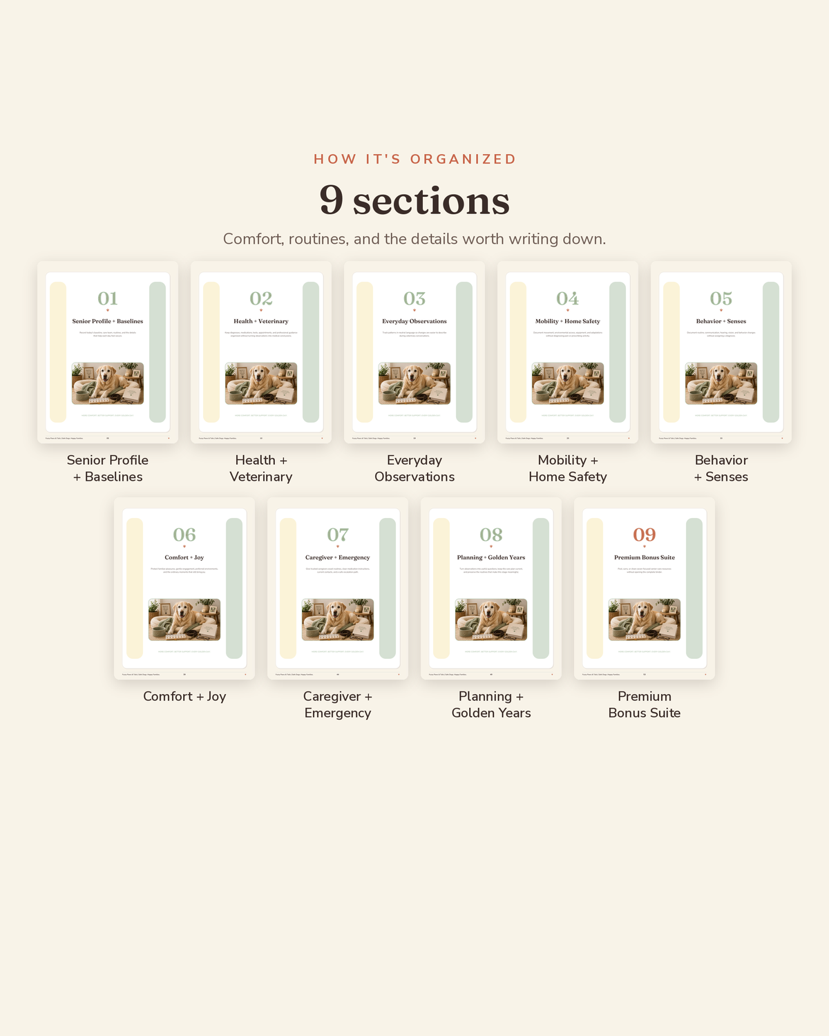 Senior Dog Care & Comfort Binder section overview — the 9 organized sections of this printable senior dog care binder